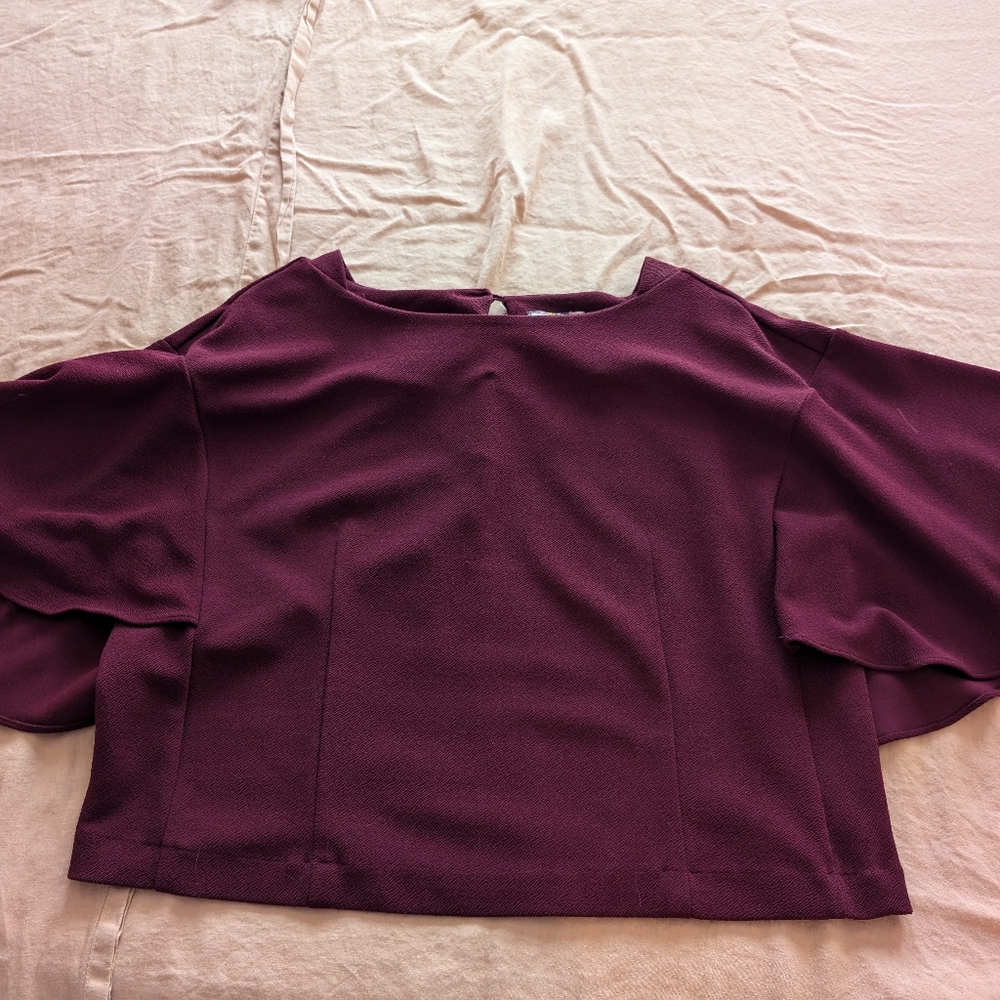 Anthropologie Eri + Ali  Crop Maroon Top